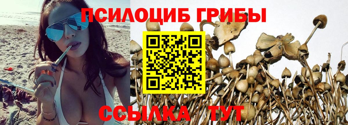 Канабис  Вход с VPN  Меф МЯУ МЯУ кристаллы  Экстази  Лосино-Петровский  Codein  ГАШИШ  Марихуана 